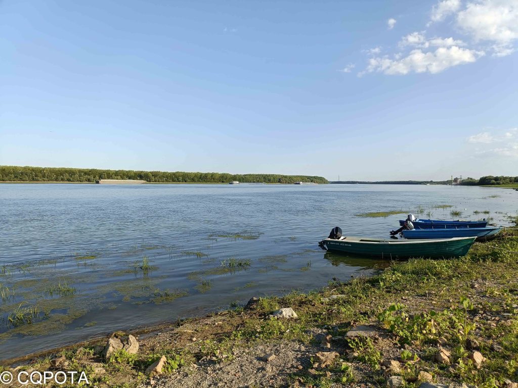 Balta mica a Brailei