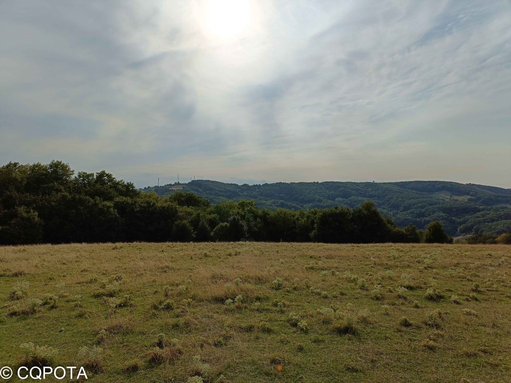 Culmea Petricica Hill