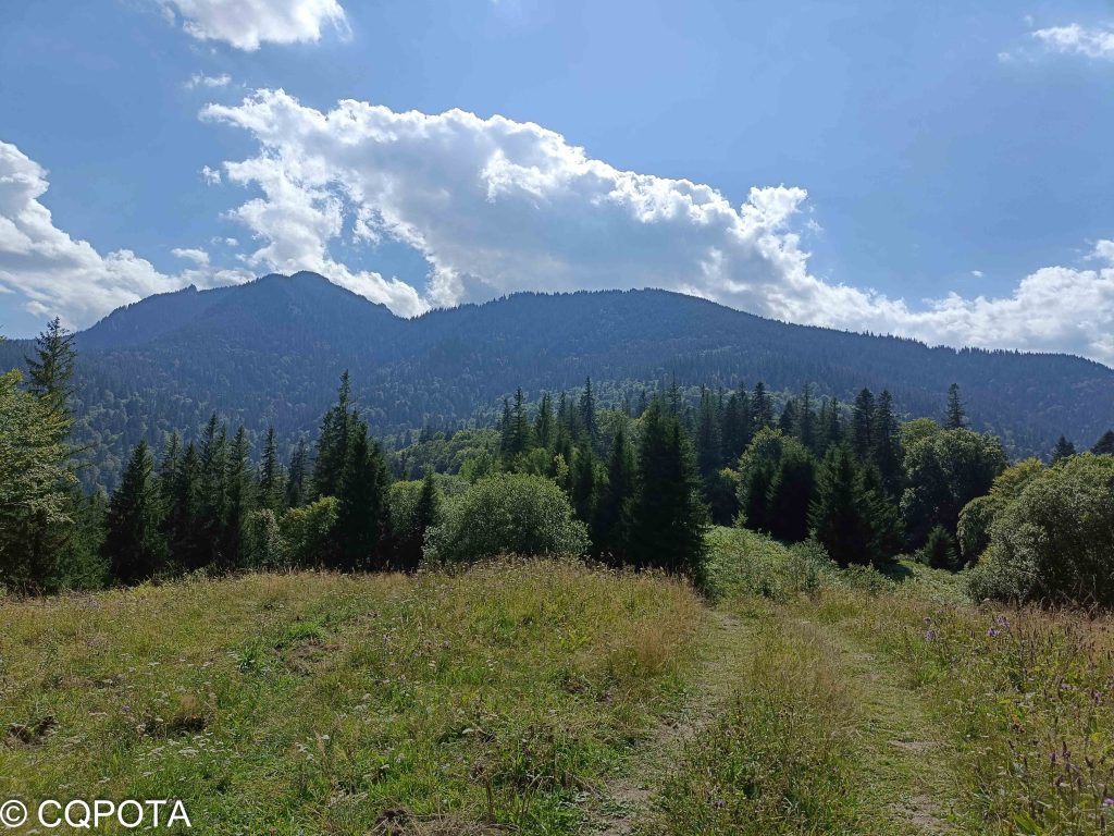 Axial road natural reserve