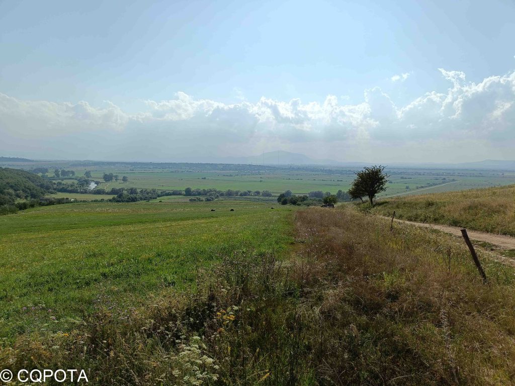 Dealul Ciocaș - Dealul Vițelului Natura 2000